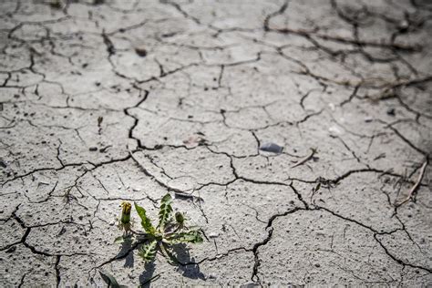 Onu Urge Al Mundo A Restaurar Mil Millones De Hect Reas De Tierra