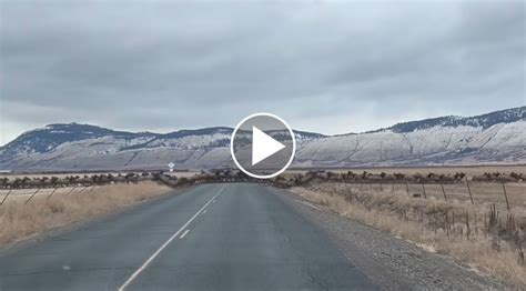 Vidéo Une immense harde de cervidés traverse la route Chasse Passion