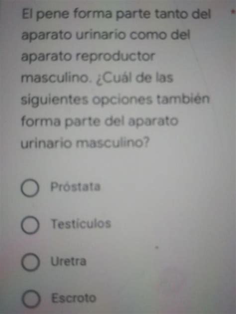 El Primero Que Conteste Le Doy Corona Brainly