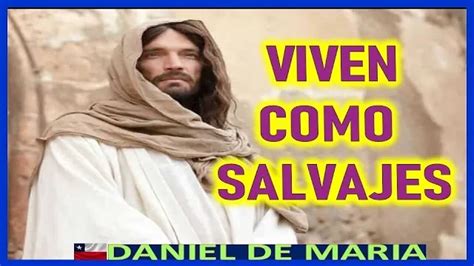 Viven Como Salvajes En La Violencia Jesucristo Rey A Daniel De Maria