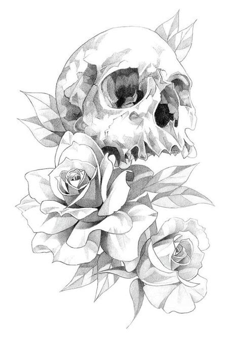 Skulls Drawings Roses