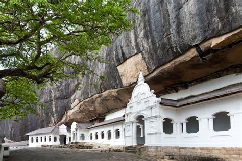 Day Tour In Sigiriya Dambulla Sigiriya Day Trip Visit Sri Lanka