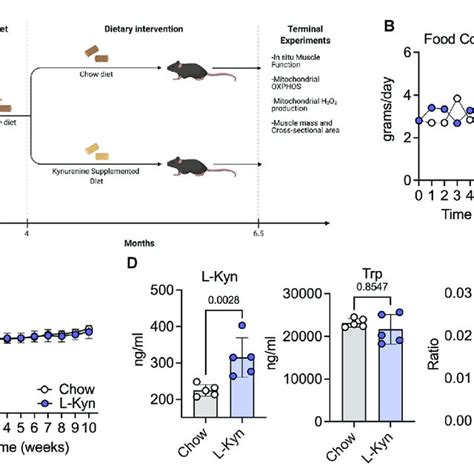 L Kyn Supplemented Diet Increases Plasma L Kyn Levels And The L Kyn Trp Download Scientific