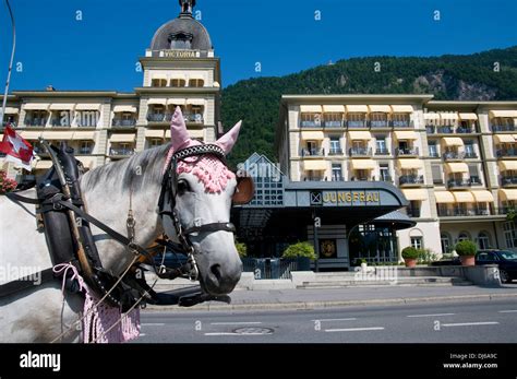 Europe Switzerland Canton Bern Bernese Oberland Interlaken Hotel