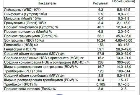 Rdw в анализе крови что это такое норма по возрастам причины