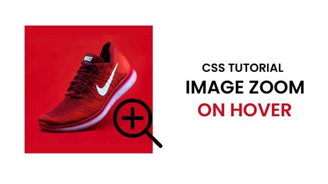 Image Zoom On Hover Coding Artist