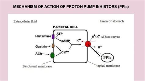 Proton pump inhibitors