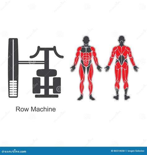 Gym row machine stock vector. Illustration of athlete - 86514658
