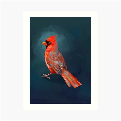 "Cardinal" Art Print by freeminds | Redbubble