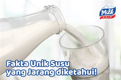 Yogya Group Official Website Fakta Unik Susu Yang Jarang Diketahui