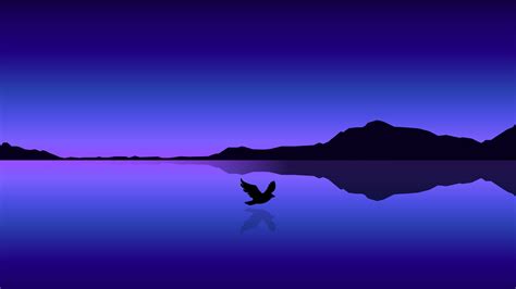 Bird Flying Over Ocean Minimal 4k Wallpaper,HD Artist Wallpapers,4k Wallpapers,Images ...