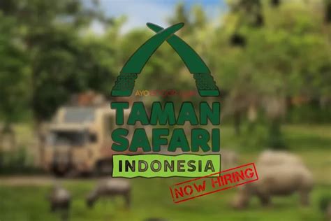 Lowongan Kerja Taman Safari Indonesia Lamar Di Sini Tak Perlu Antri