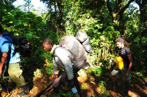 A Guide To Visiting Mount Elgon National Park Travel Dudes