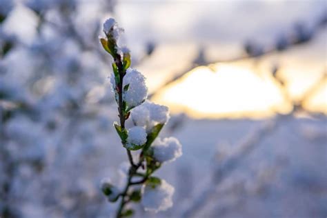 Alerte Jardiniers Voici La Checklist Indispensable Des Astuces