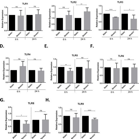 Cyclic Stretch Modulates Toll Like Receptor TLR Gene Expression