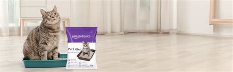 Buy Amazon Basics Scoopable Smart White Bentonite Scented Cat Litter