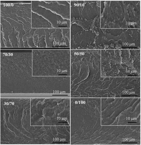 The Cryogenic Crack Morphology Of Neat Pla Pla Pu Blends At Different