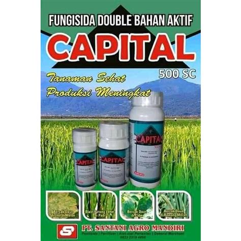 Jual Fungisida Capital Ml Hama Pathek Hama Jamur Busuk Batang Busuk