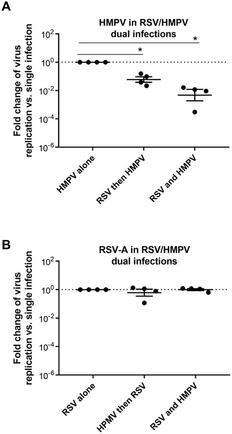 RSVHMPV Dual Infections In In Vitro Reconstituted Tissues HMPVRSV