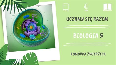 Biologia klasa 5 Komórka zwierzęca Uczymy się razem YouTube