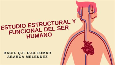 Estudio Estructural Y Fx Del Ser Humano