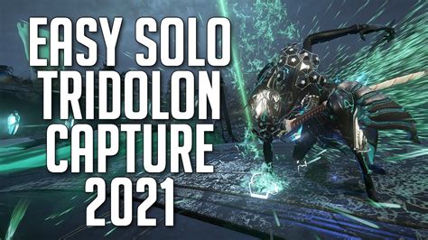 The Easiest Way To Do Solo 2 3 Tridolon Capture Per Night Best