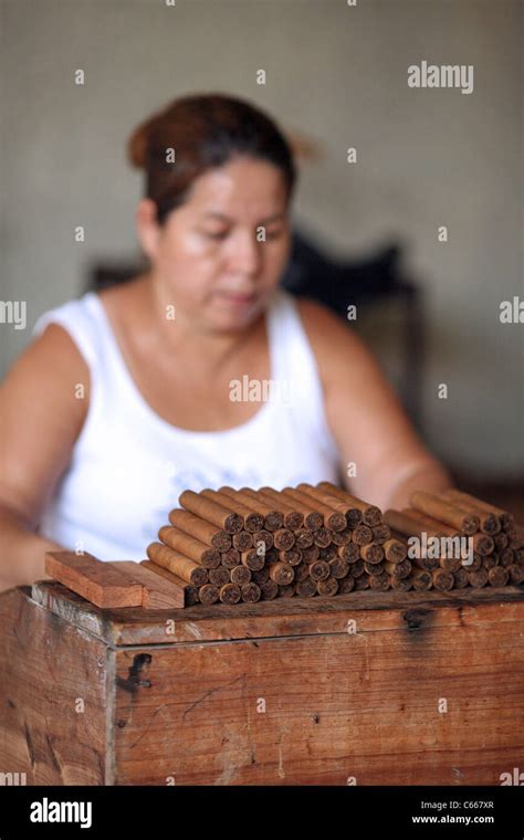 Hand Rolling Cigars Hi Res Stock Photography And Images Alamy