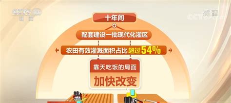 全方位夯实粮食安全根基 十年再上一个千亿斤新台阶 荆楚网 湖北日报网