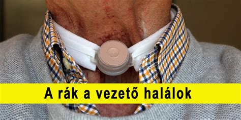 VIDEÓ Rákban halnak meg a legtöbben Magyarországon Kpsvr hu