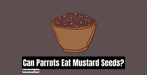 Can Parrot Eat Mustard? - A Complete Information!