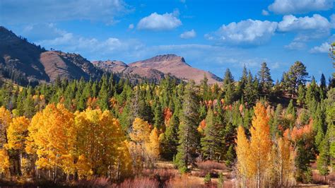 Perfect Fall Foliage Hikes To Take In California One Time Travel