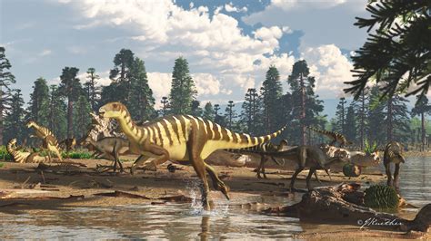Dinosaur Jaw Fossils In Australia Belong To Wallaby Sized Herbivore