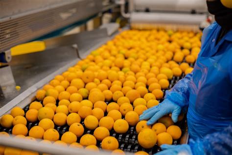 Fruity Line: ontwikkeling door groei | Professionals in Food