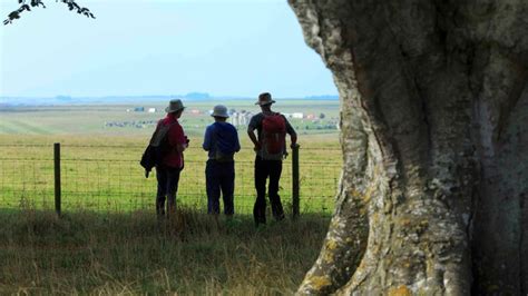 Stonehenge Landscape's history | Wiltshire | National Trust