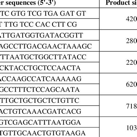 Target Genes Sequences And Amplicon Size Of Primers Used In The Study