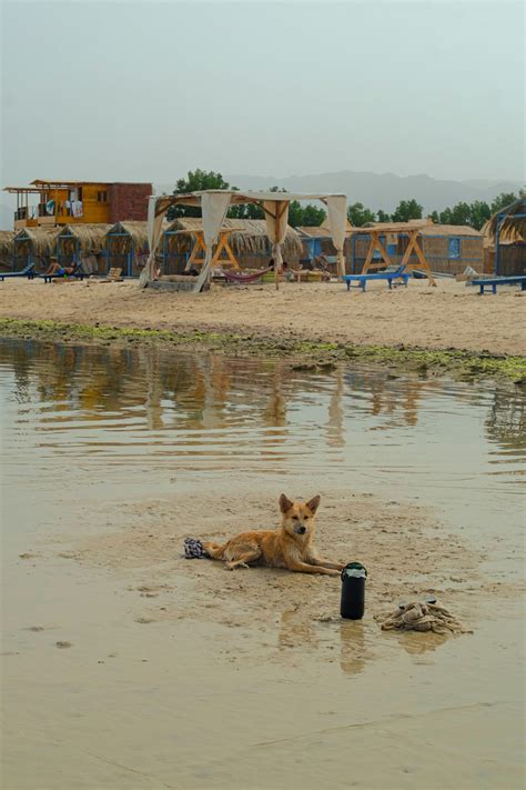 marsa matrouh egypt beach      marsa matrouh