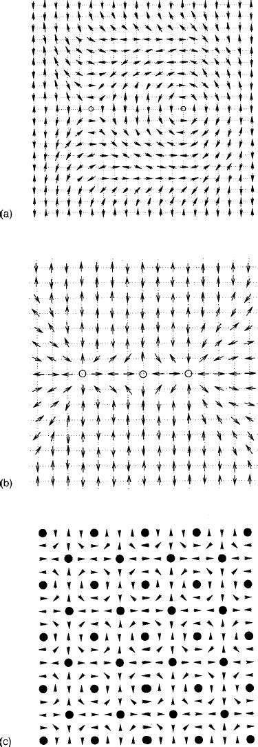 A Electronic Gap Structure Of The Fm And Afm Core D Skyrmion As A