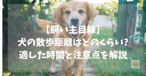 【飼い主目線】犬の散歩距離はどのくらい適した時間と注意点を解説