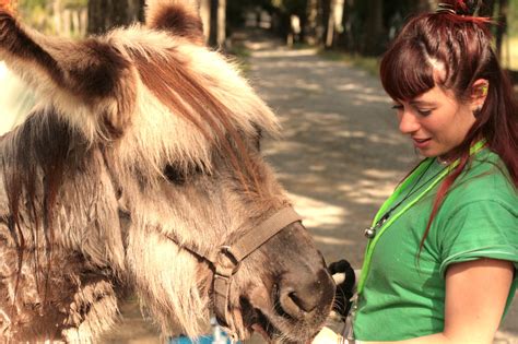 Cercasi Volontari Per Il Centro Di Scienze Naturali Rete Musei Prato