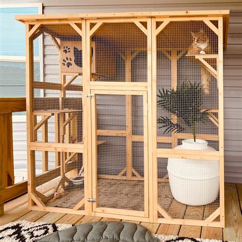 Outdoor Cat Enclosure Designs Patios For Cats, Obviously
