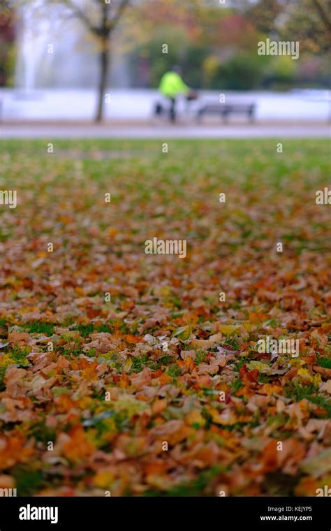 Autumn In Victoria Park Hackney London United Kingdom Stock Photo