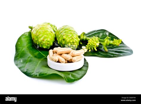 Exotic Fruit - Noni Stock Photo - Alamy