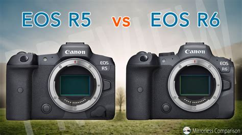 Canon EOS R5 Vs R6 The 10 Main Differences Mirrorless Comparison