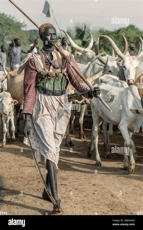 A Woman One Of The Dinka Herders Walked Through The Cowsterekeka