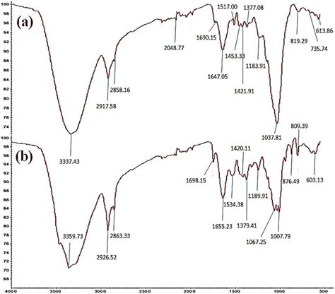 Ftir Spectra A Before And B After Adsorption Of Cr Dyes Onto Durian