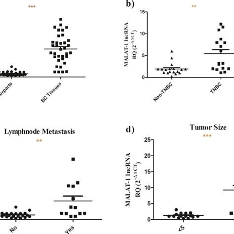 Screening Of MALAT 1 LncRNA In BC Patients MALAT 1 Expression Profile