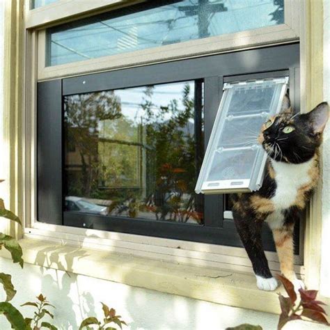 Best Cat Door for Windows - Durable Cat Flap Window Inserts