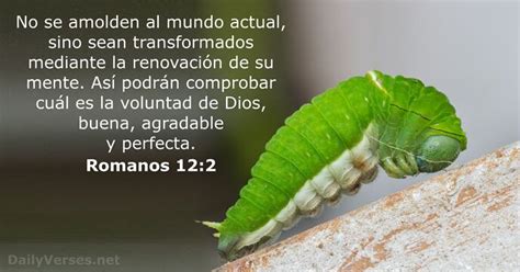 Romanos Vers Culo De La Biblia Dailyverses Net