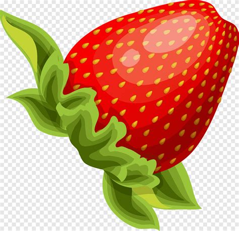 Aardbei Aedmaasikas Cartoon Red Delicious Aardbei Aedmaasikas