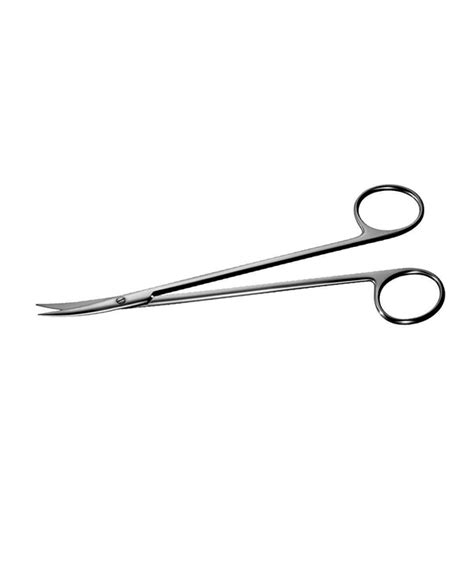 DISSECTING SCISSORS – Raman Exporters